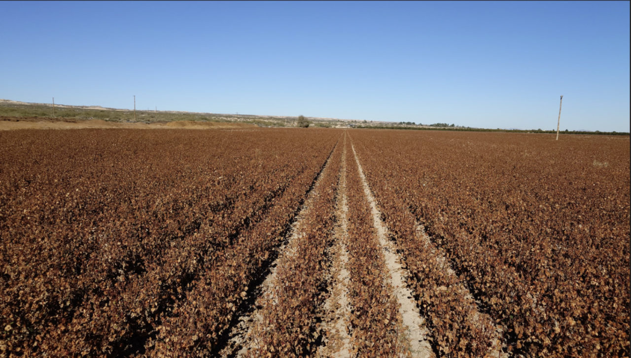 Photo courtesy of Taishoboseki Industries, Ltd.